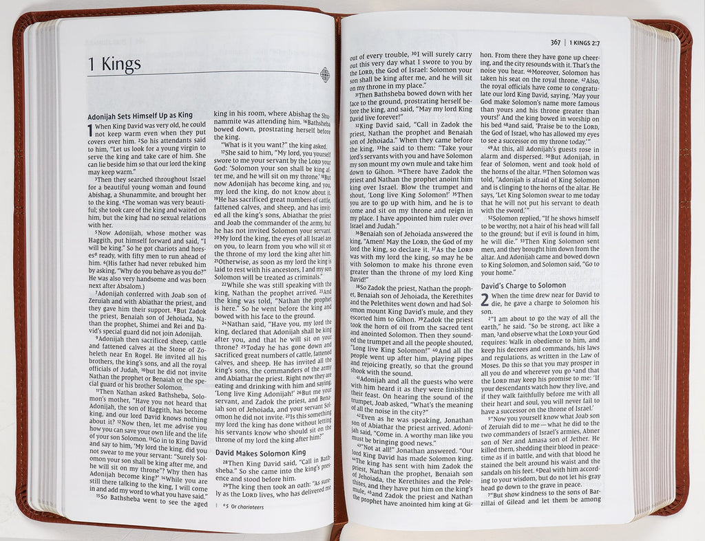 Interior of niv men's devotional journaling bible with journaling space