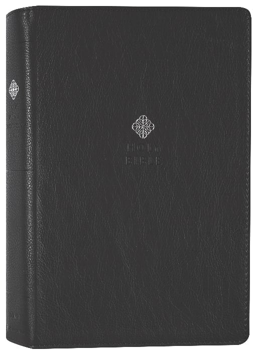 Large Print NIV Men's Devotional Bible in Black Letter Edition