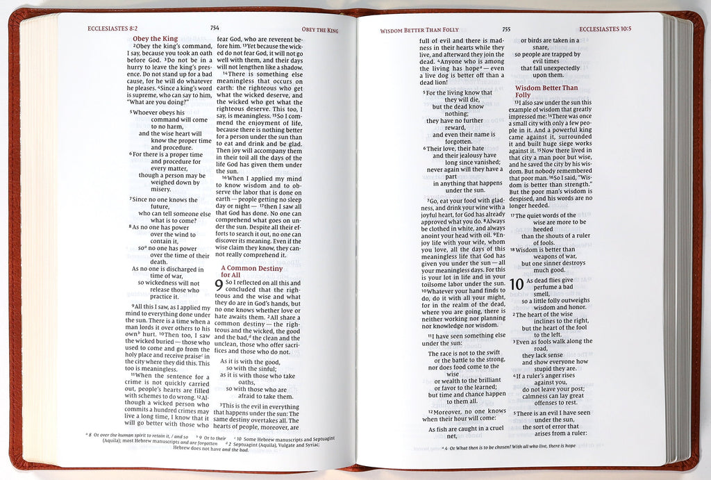 NIV Wide Margin Bible Brown (Red Letter Edition)