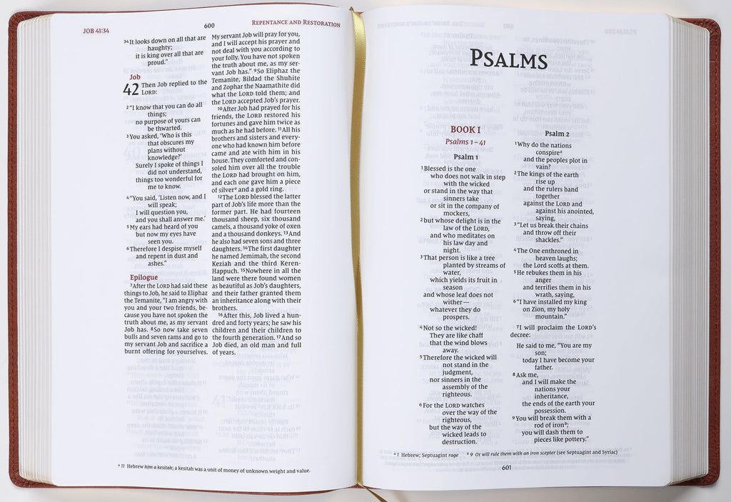NIV Wide Margin Journaling Bible Brown Leather Edition interior with red letter edition details
