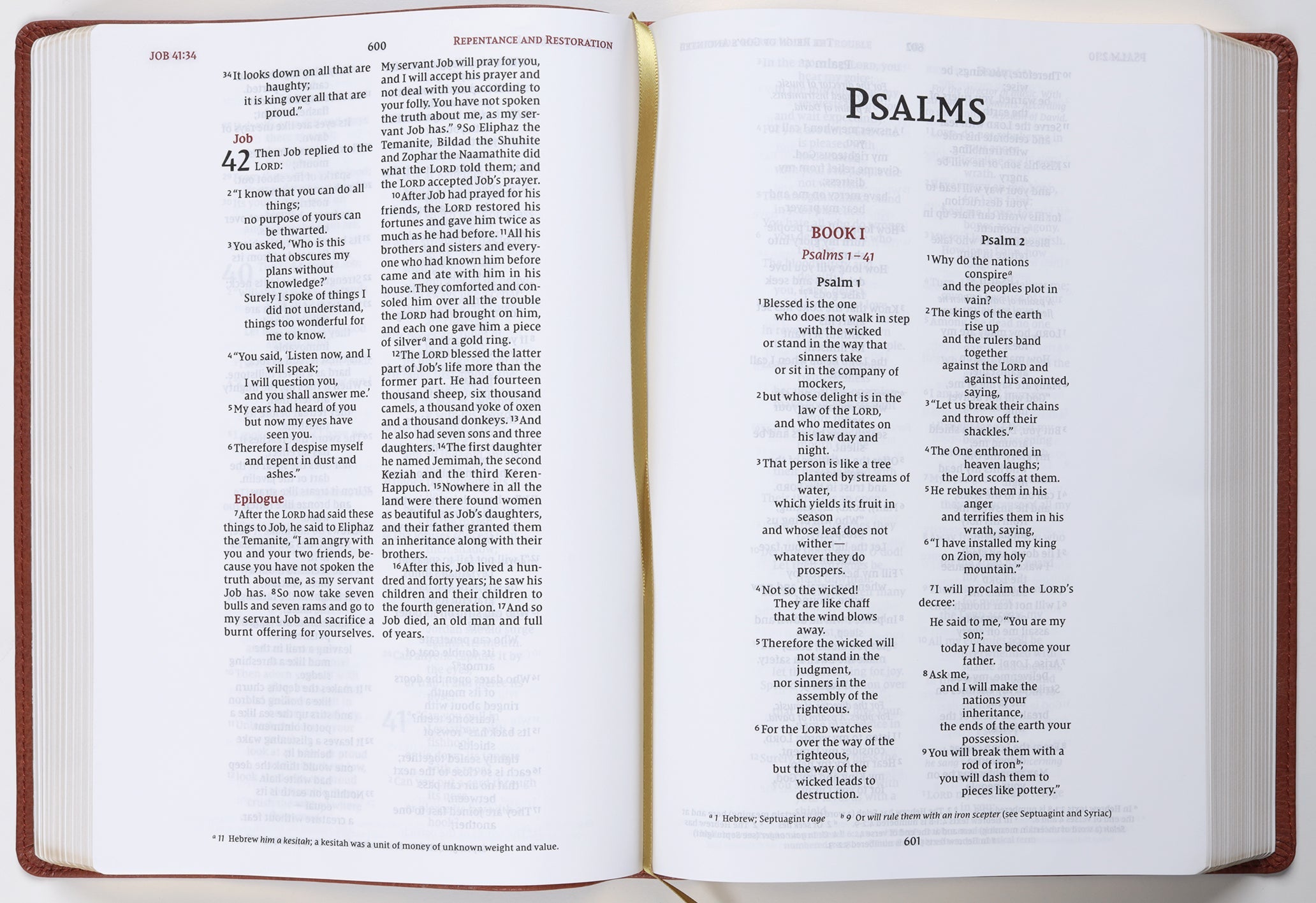 NIV Wide Margin Journaling Bible Brown Leather Edition interior with red letter edition details