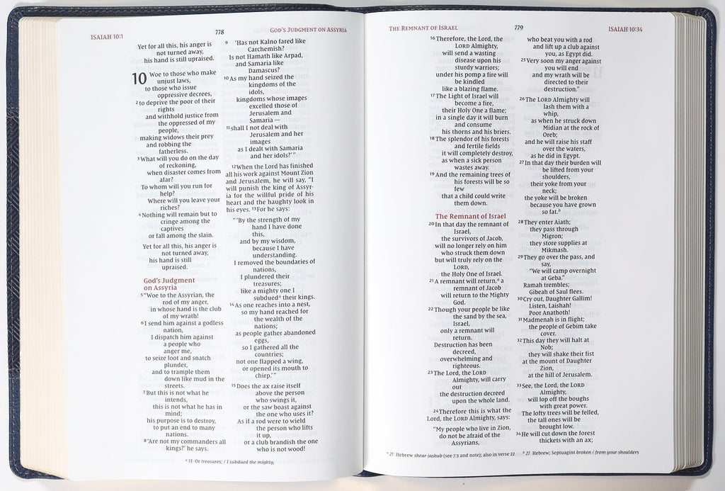 NIV Wide Margin Bible Navy (Red Letter Edition)