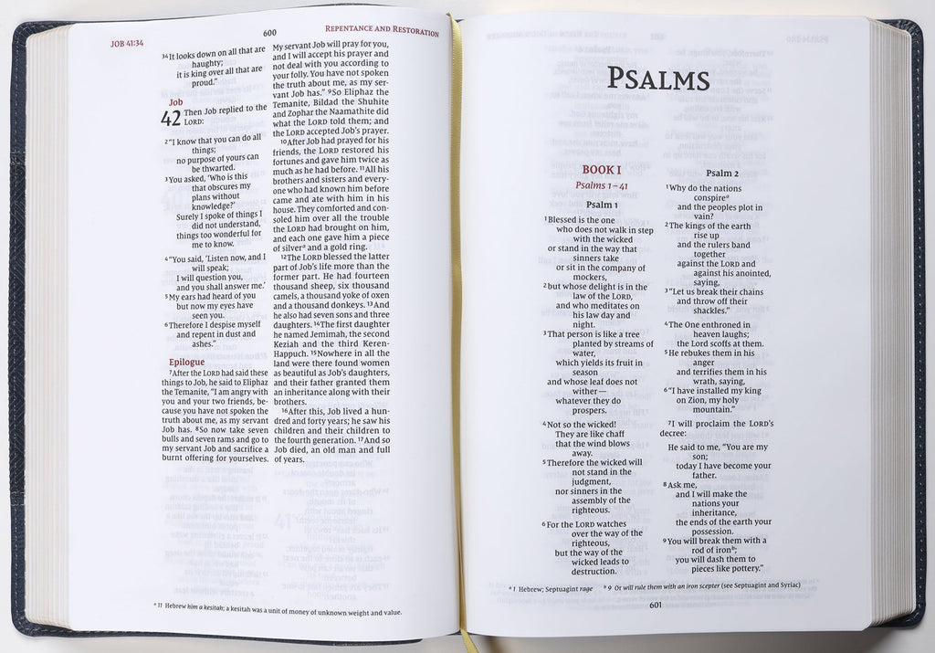 NIV Wide Margin Bible Navy (Red Letter Edition)