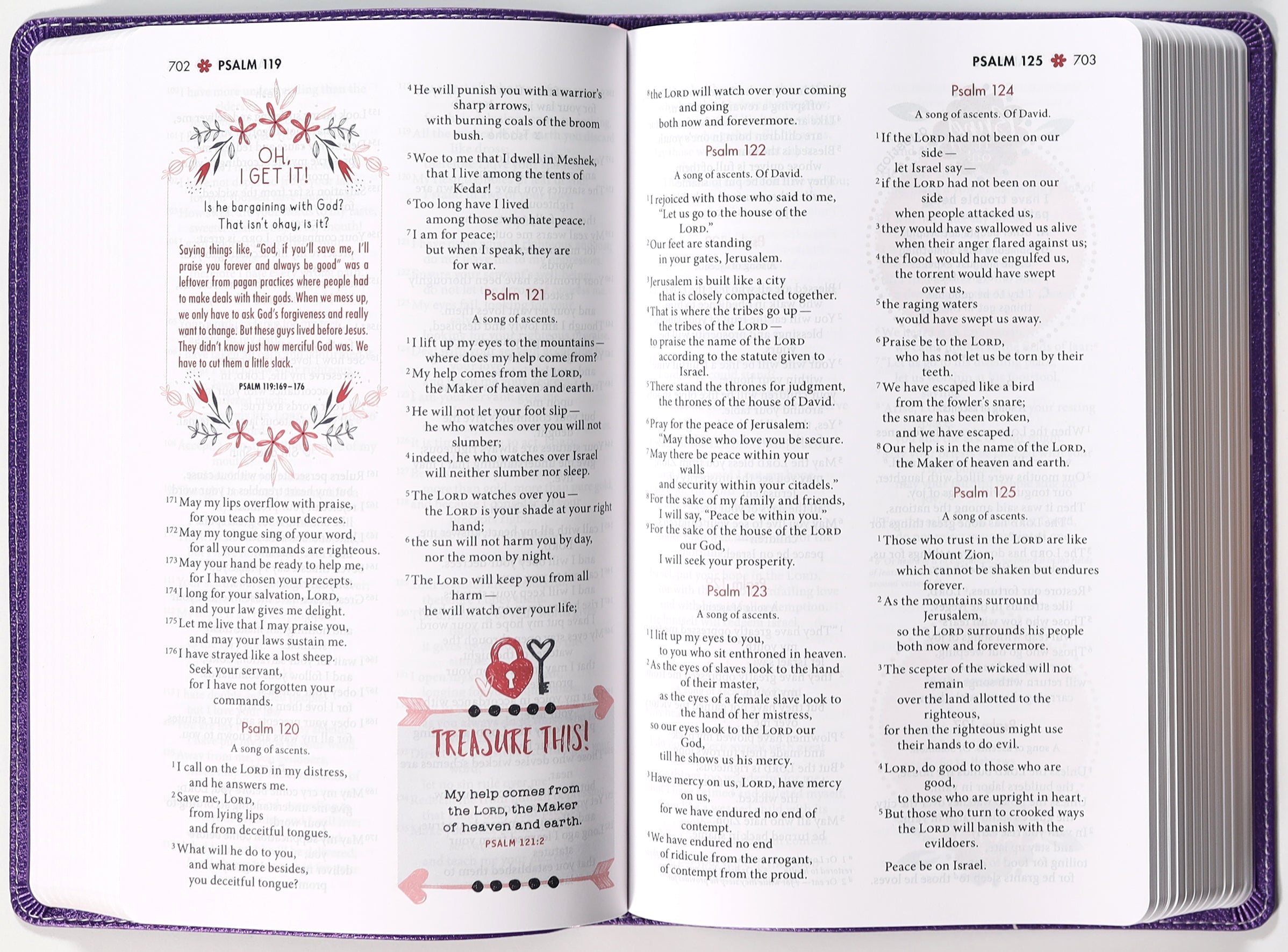 NIV Ultimate Bible For Girls Faithgirlz Edition Purple (Faithgirlz! Series)