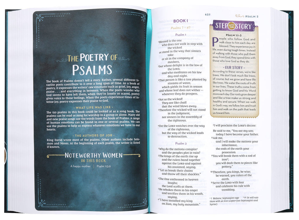 Experience the NIV Kingdom Girls Bible, a dynamic and uplifting Bible for young girls.
