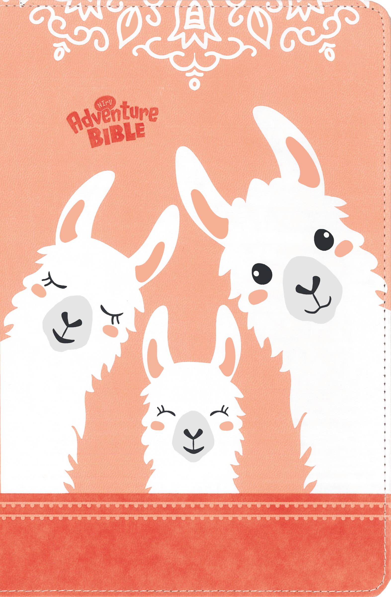 A close-up of the NIRV Adventure Bible for Early Readers, featuring coral-colored indexed tabs.