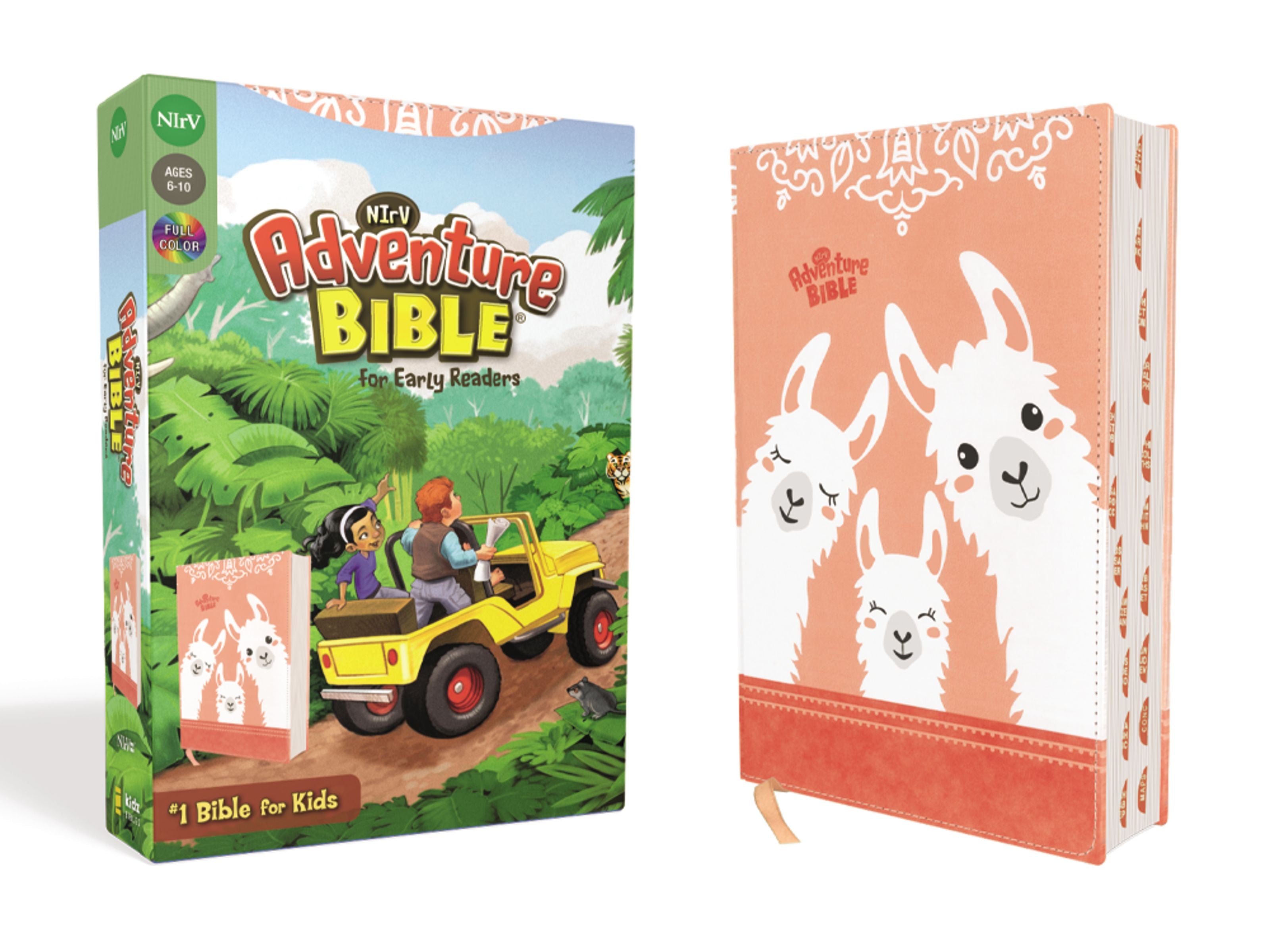 NIRV Adventure Bible for Early Readers, a colorful Bible for young readers with indexed tabs.