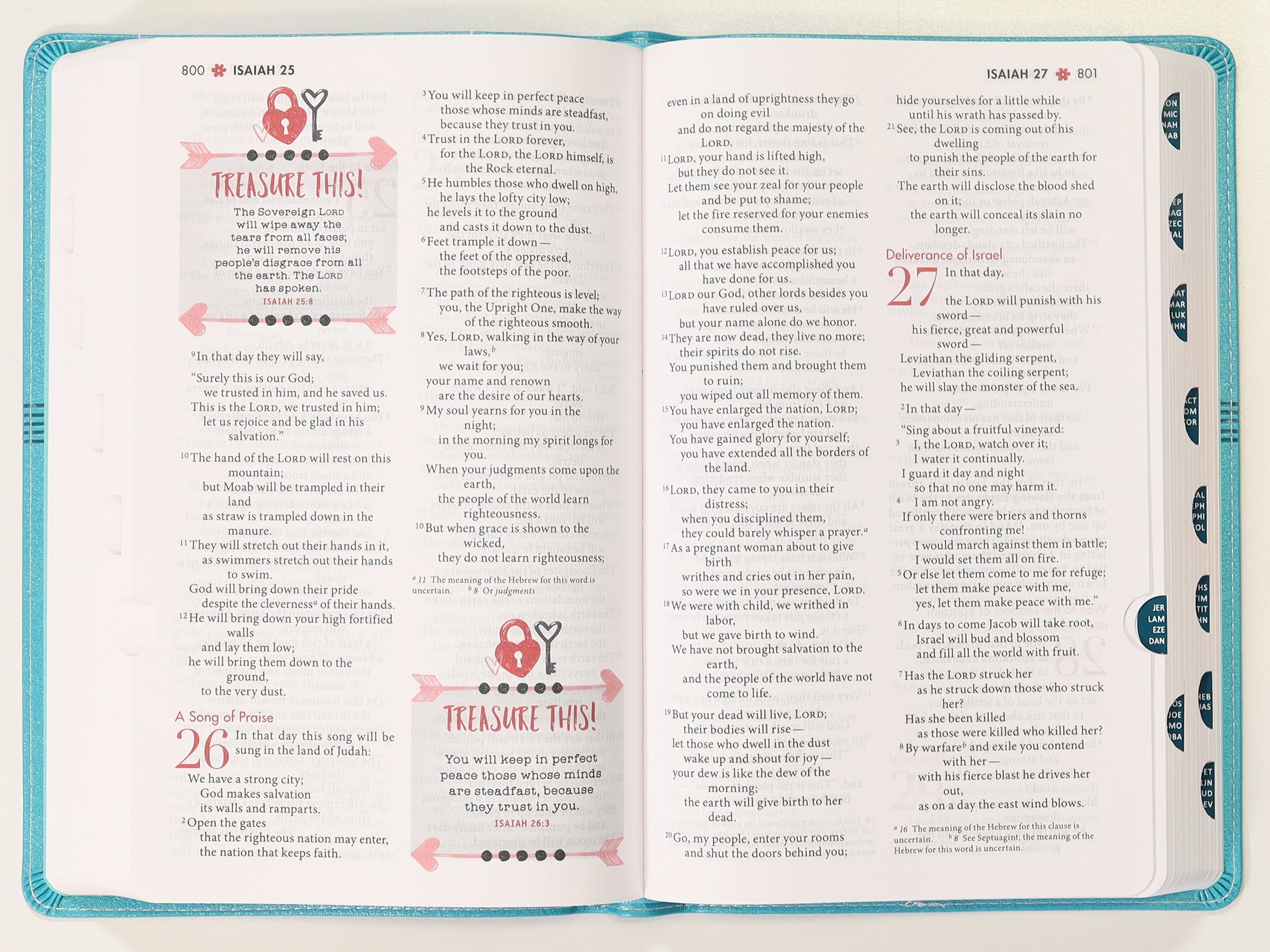 NIV Ultimate Bible For Girls Faithgirlz Edition Teal Thumb Indexed Tabs (Faithgirlz! Series)