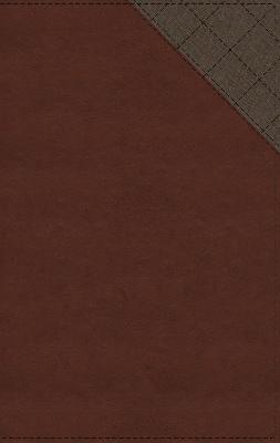 NIV Thinline Bible in red letter edition, brown cover