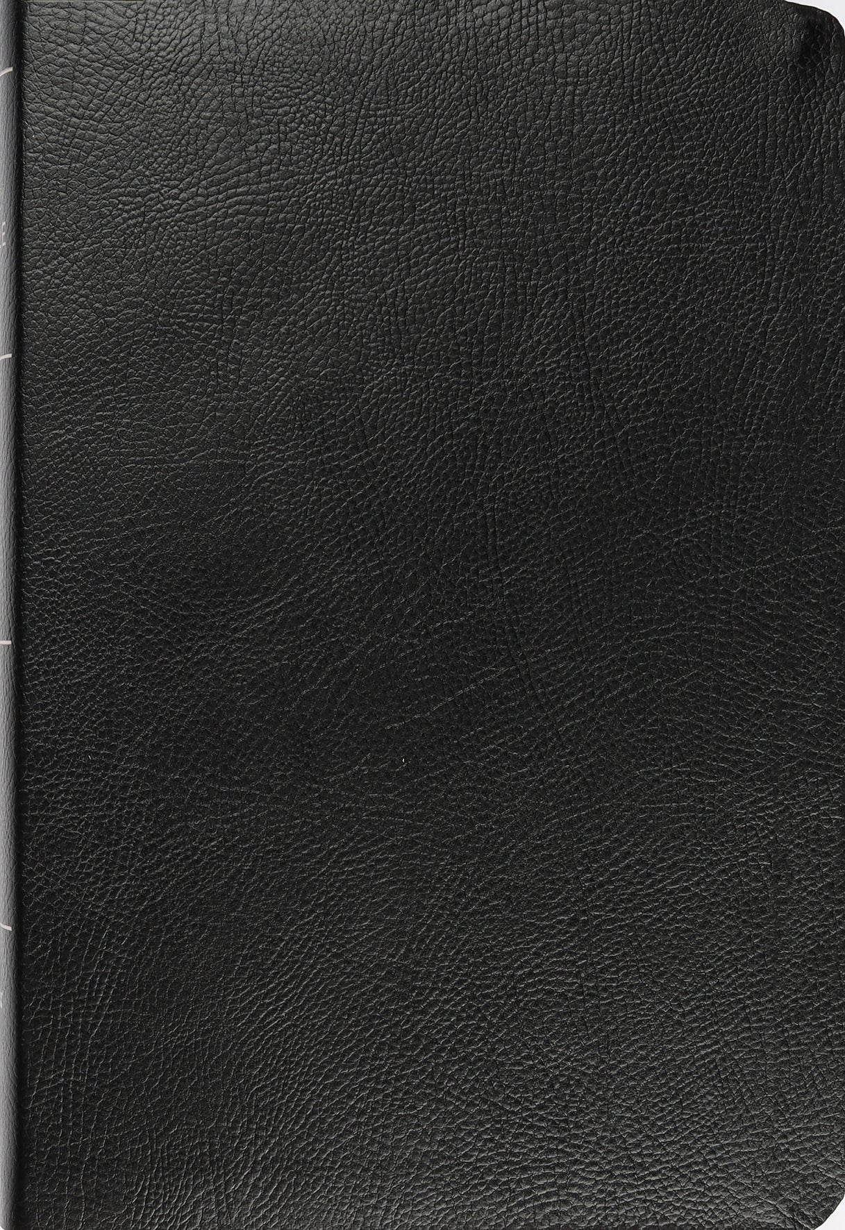 NIV Thinline Reference Bible in large print black with red letter edition open to a page