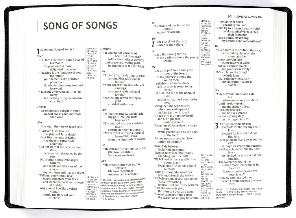 Interior view of NIV Thinline Reference Bible large print black with red letter edition