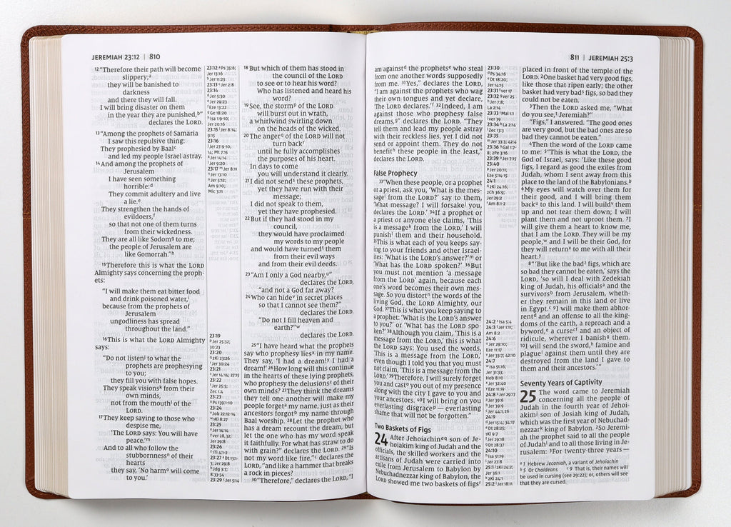 NIV Thinline Reference Bible Large Print Brown (Red Letter Edition) open pages
