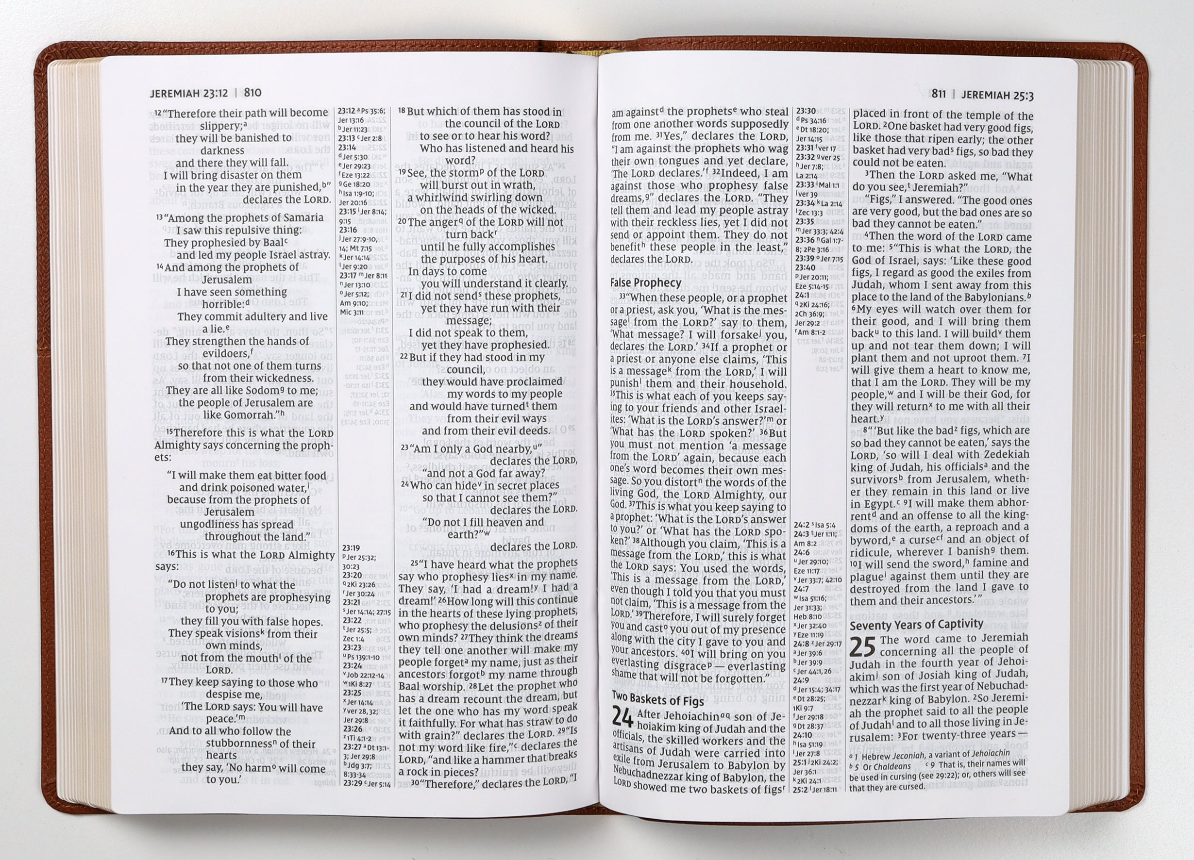 NIV Thinline Reference Bible Large Print Brown (Red Letter Edition) open pages