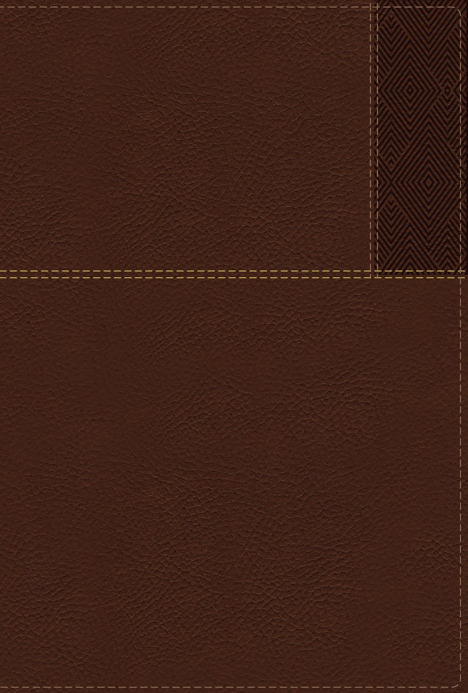 NIV Thinline Reference Bible, Large Print, Brown Indexed in use