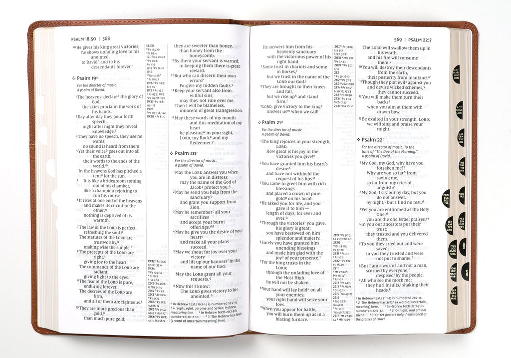 NIV Thinline Reference Bible, Large Print, Brown Indexed from a different angle