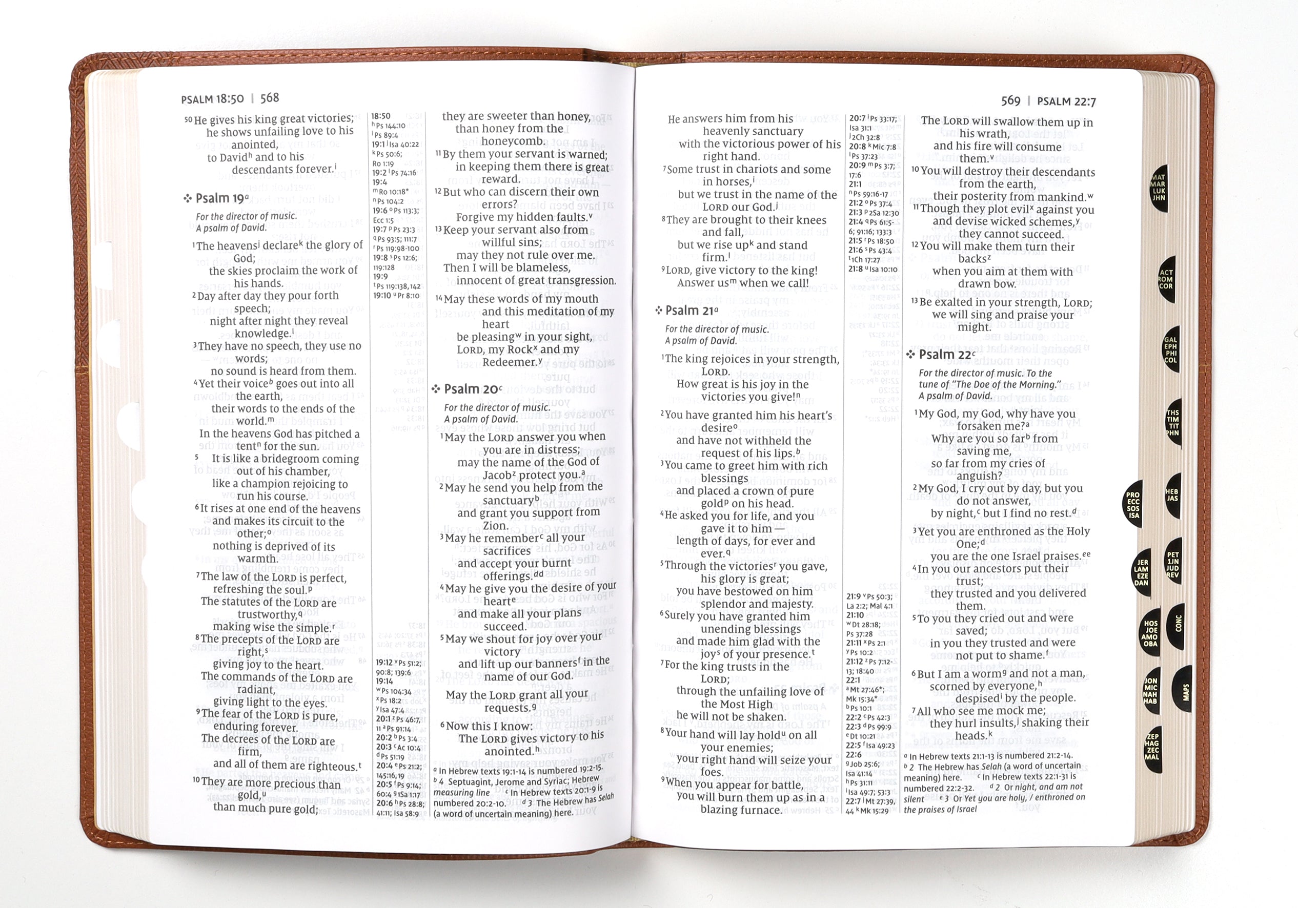 NIV Thinline Reference Bible, Large Print, Brown Indexed from a different angle