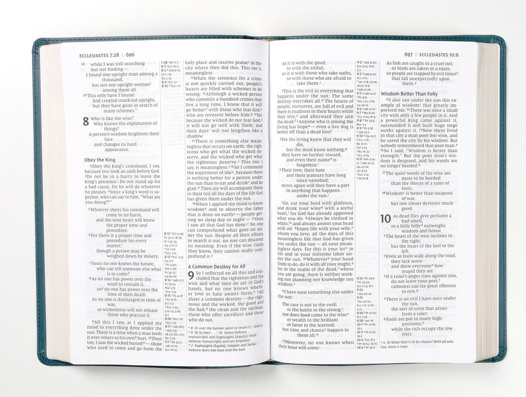 NIV Thinline Reference Bible Large Print Teal (Red Letter Edition)