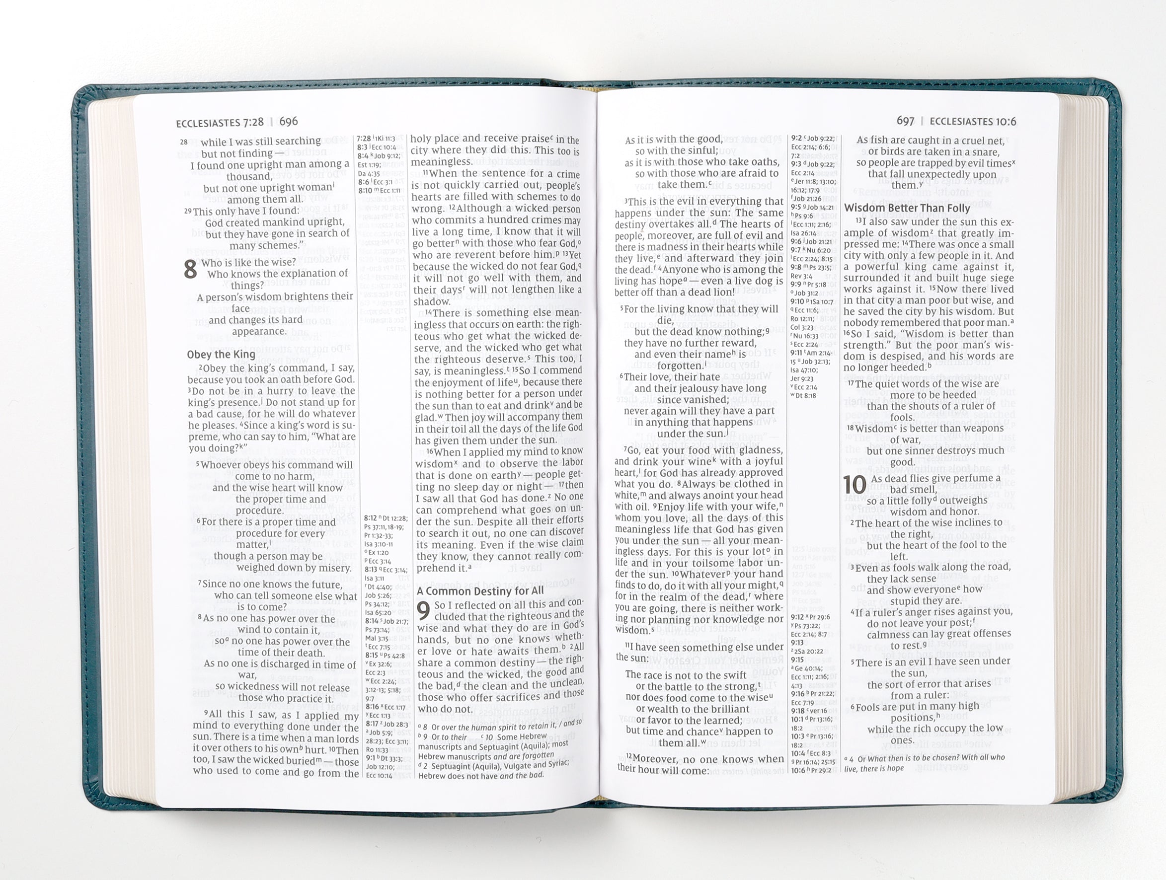 NIV Thinline Reference Bible Large Print Teal (Red Letter Edition)