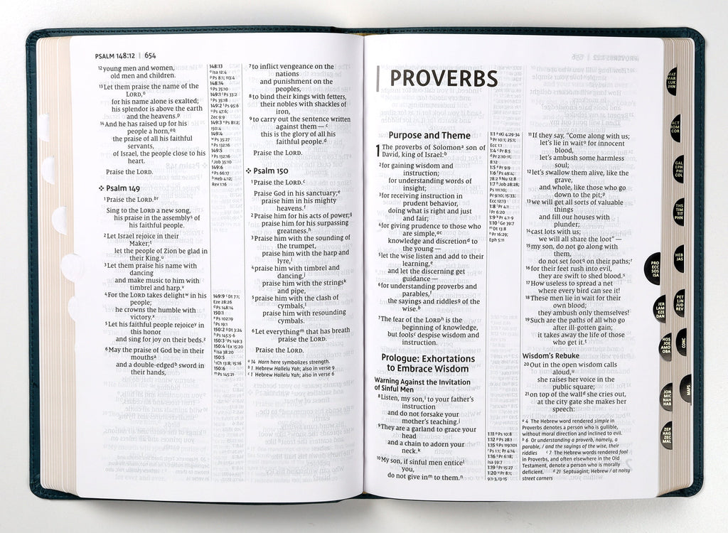 NIV Thinline Reference Bible Large Print Teal Thumb Indexed (Red Letter Edition)