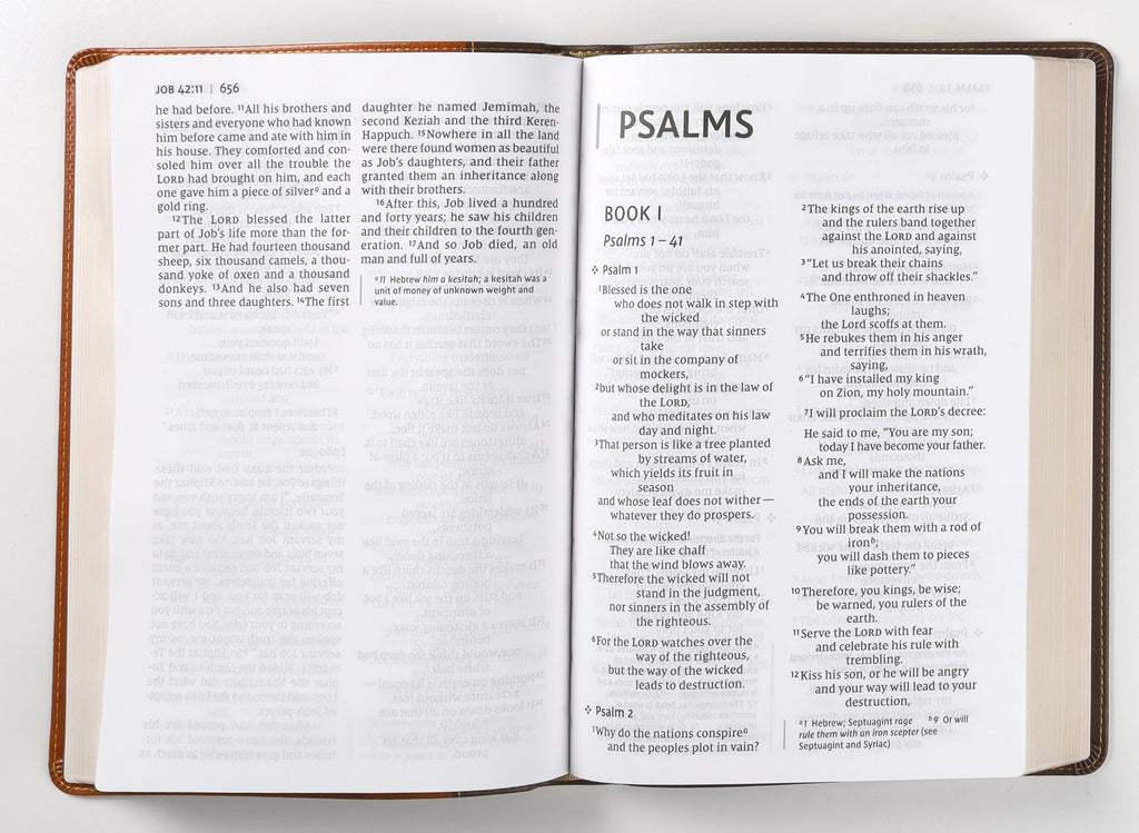 NIV Thinline Bible Giant Print Brown (Red Letter Edition)