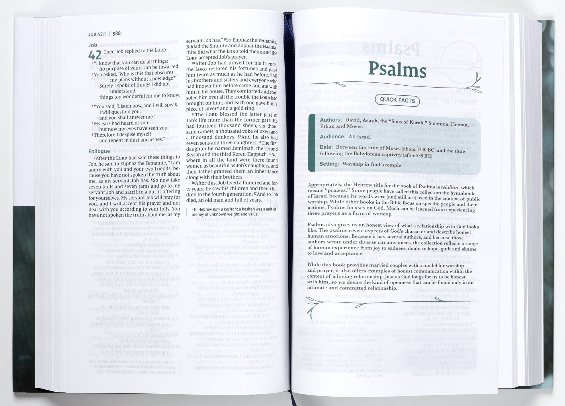 Bible for couples featuring daily devotions and scripture to strengthen relationships and faith with the NIV Couples Devotion