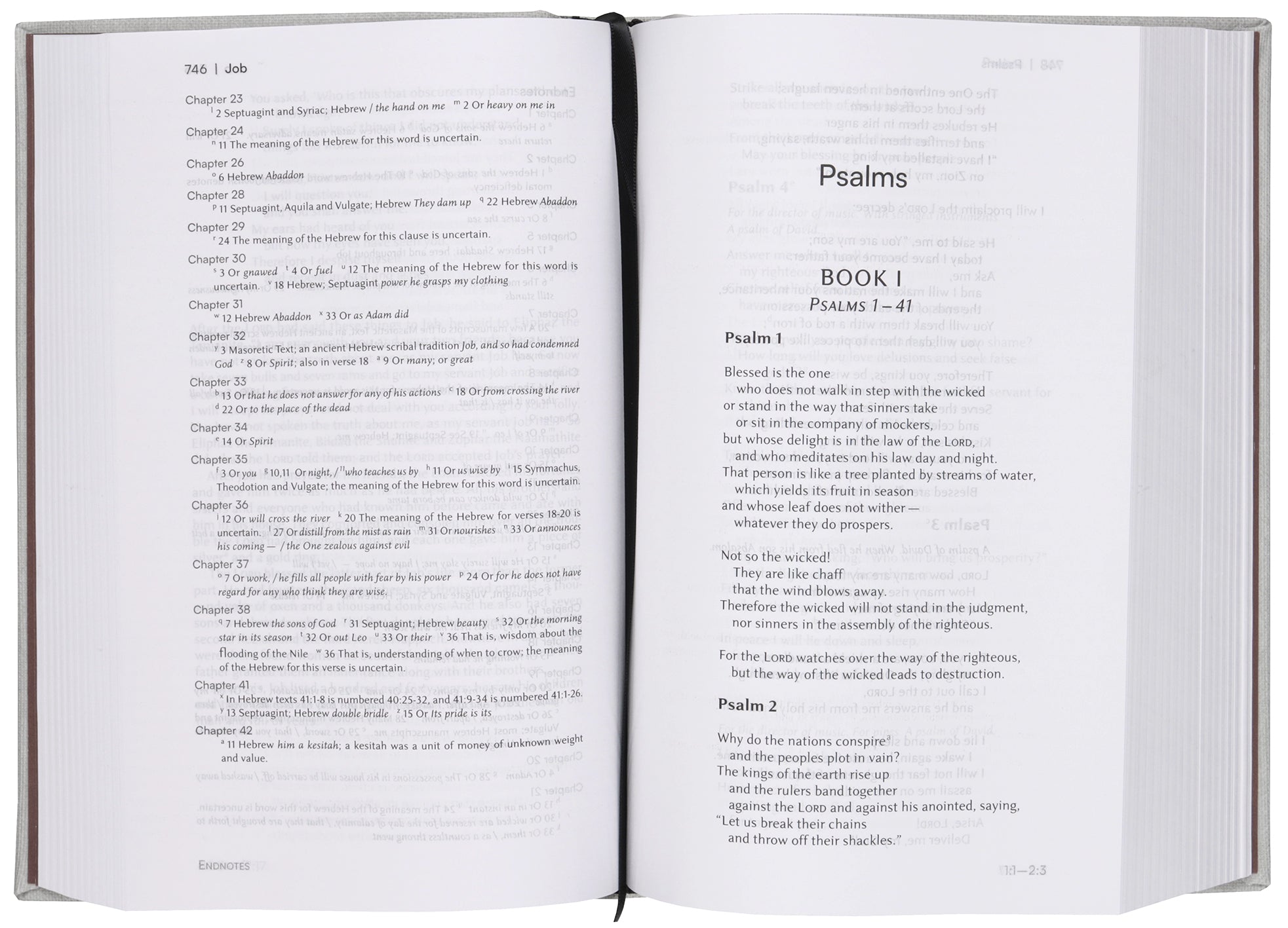 NIV Lectio Bible: Study scripture with a black letter edition