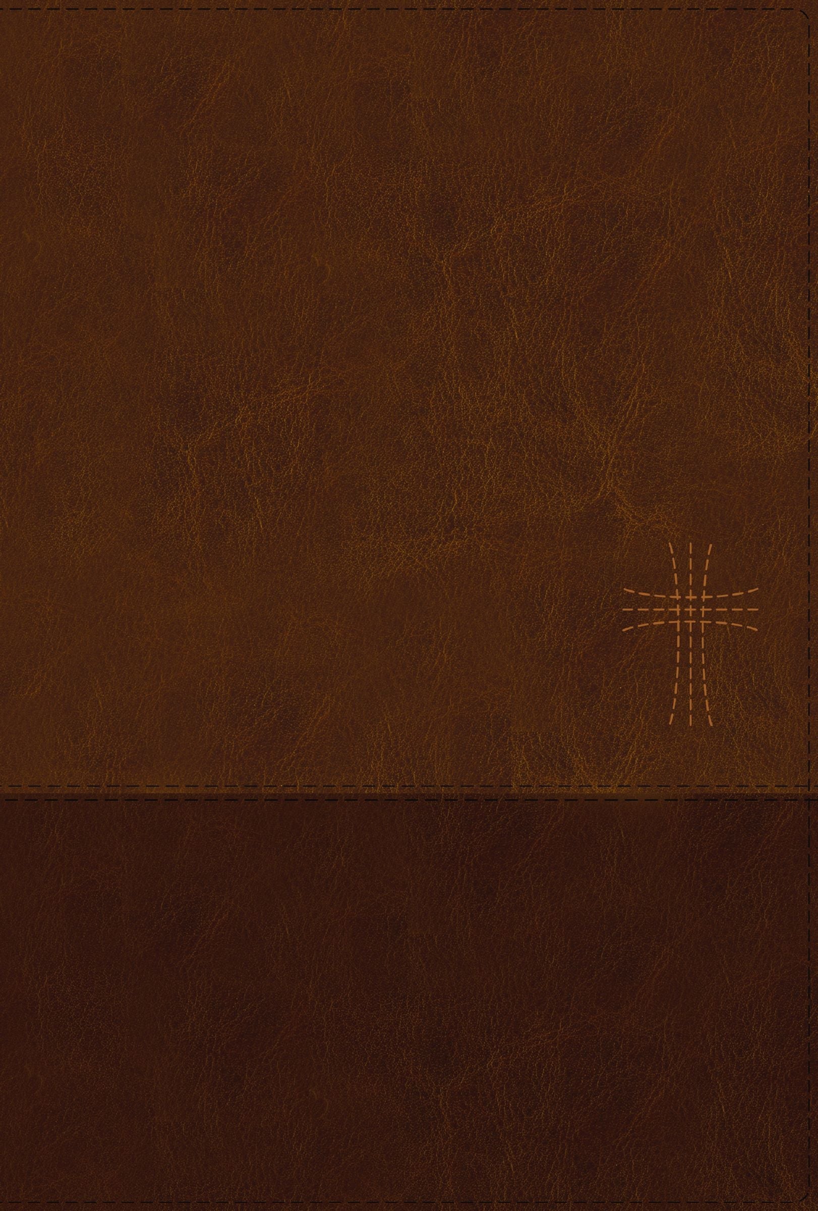 NIV Thinline Bible, Large Print, Brown, Zippered Bible with Red Letter Edition