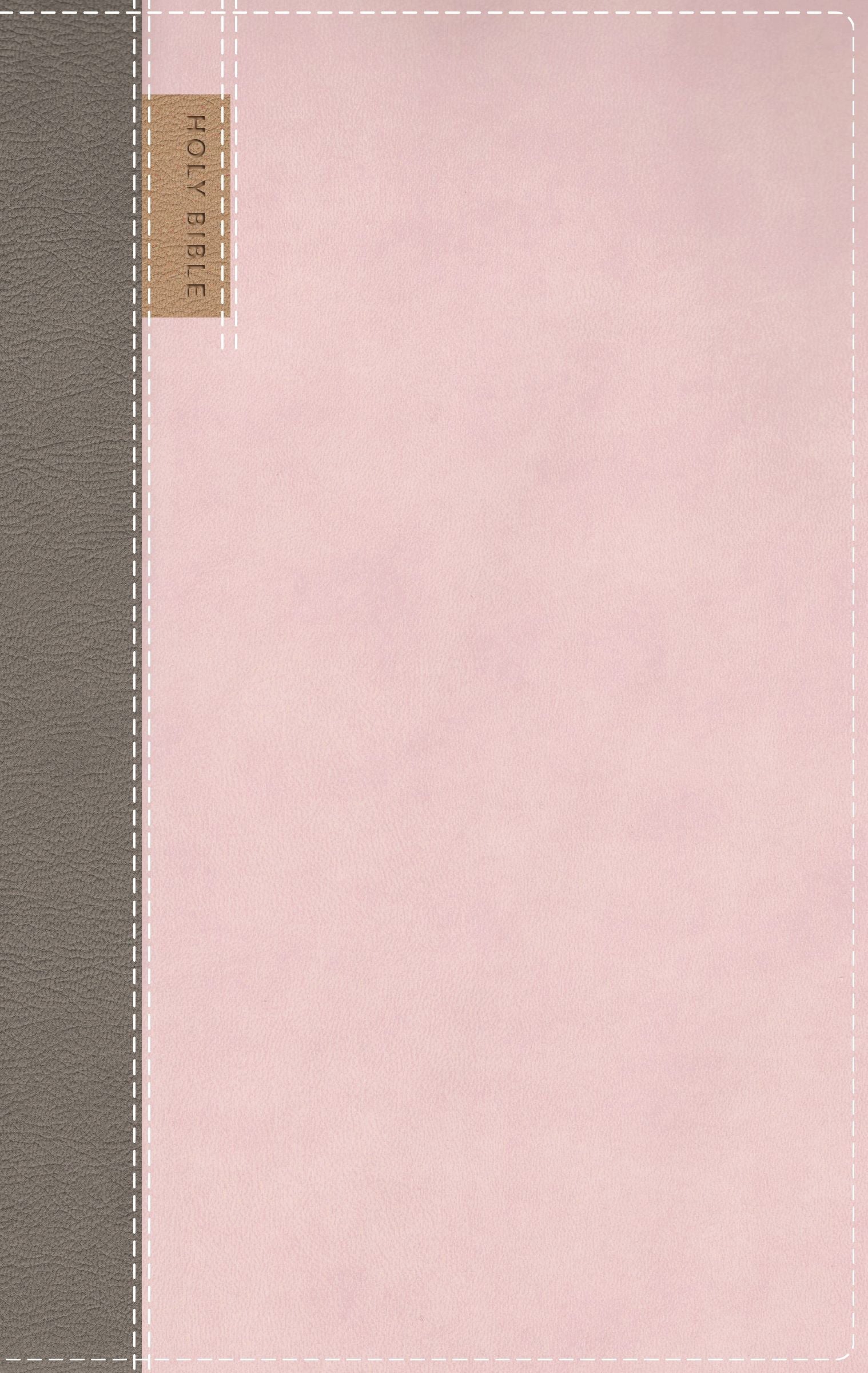 NIV Application Bible, Personal Size, Red Letter Edition with Thumb Indexing