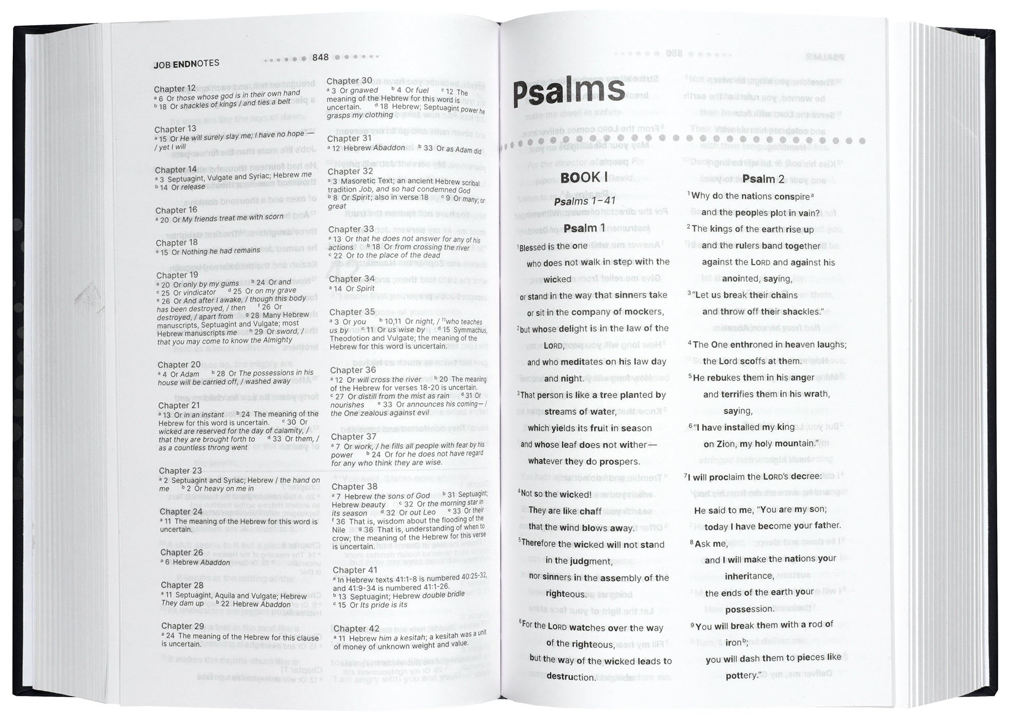 Front cover of the NIV Clear Focus Bible in charcoal and copper
