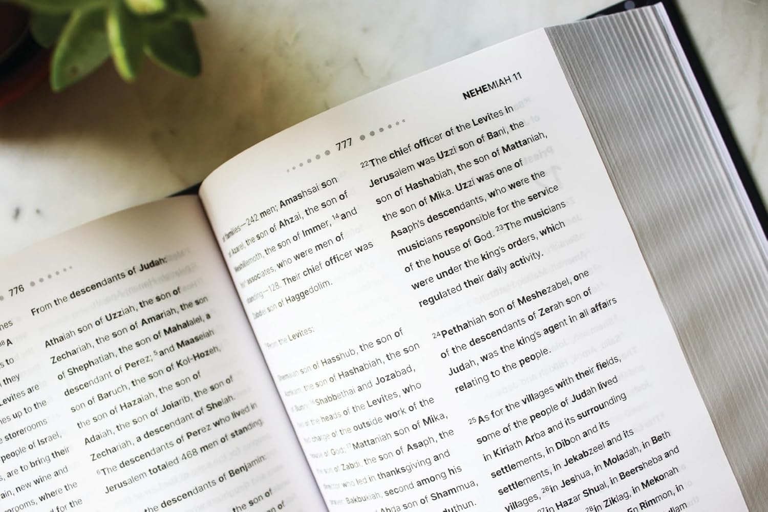 Interior pages of the NIV Clear Focus Bible, charcoal and copper edition
