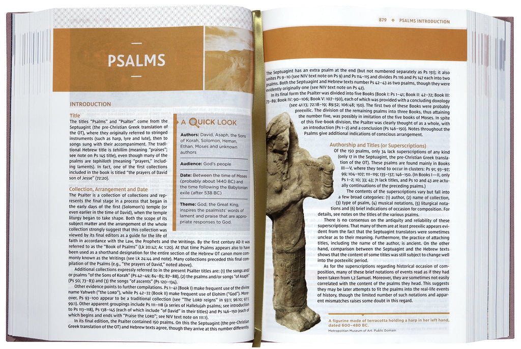 NIV Study Bible, Fully Revised Edition, Red Letter Edition, Pink, a reliable and trustworthy study Bible for believers.
