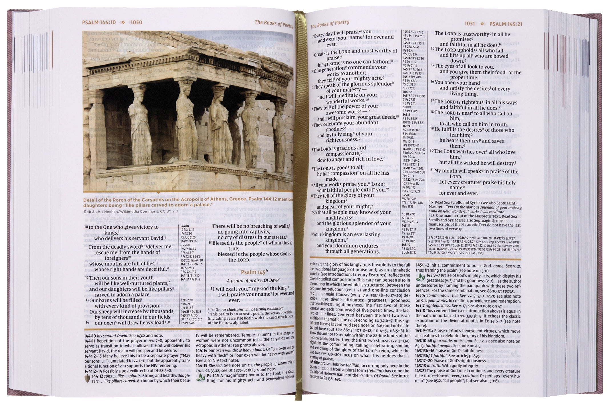 NIV Study Bible, Fully Revised Edition, Red Letter Edition, Pink, a valuable tool for in-depth study and understanding of the
