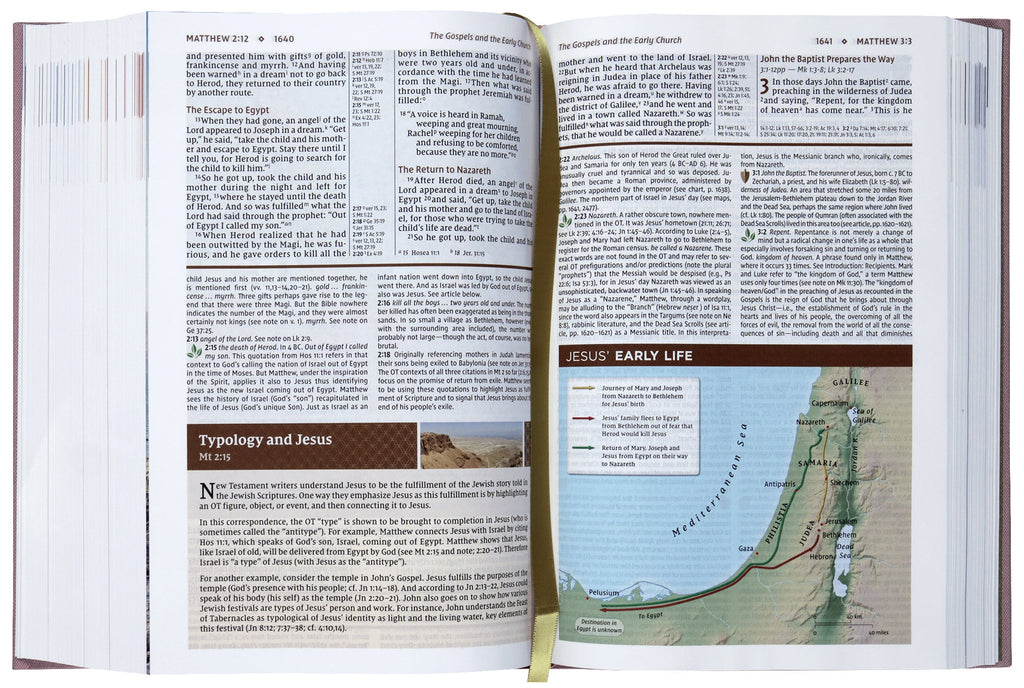 The NIV Study Bible, Fully Revised Edition, Red Letter Edition, Pink, a beautifully crafted Bible for study and devotion.