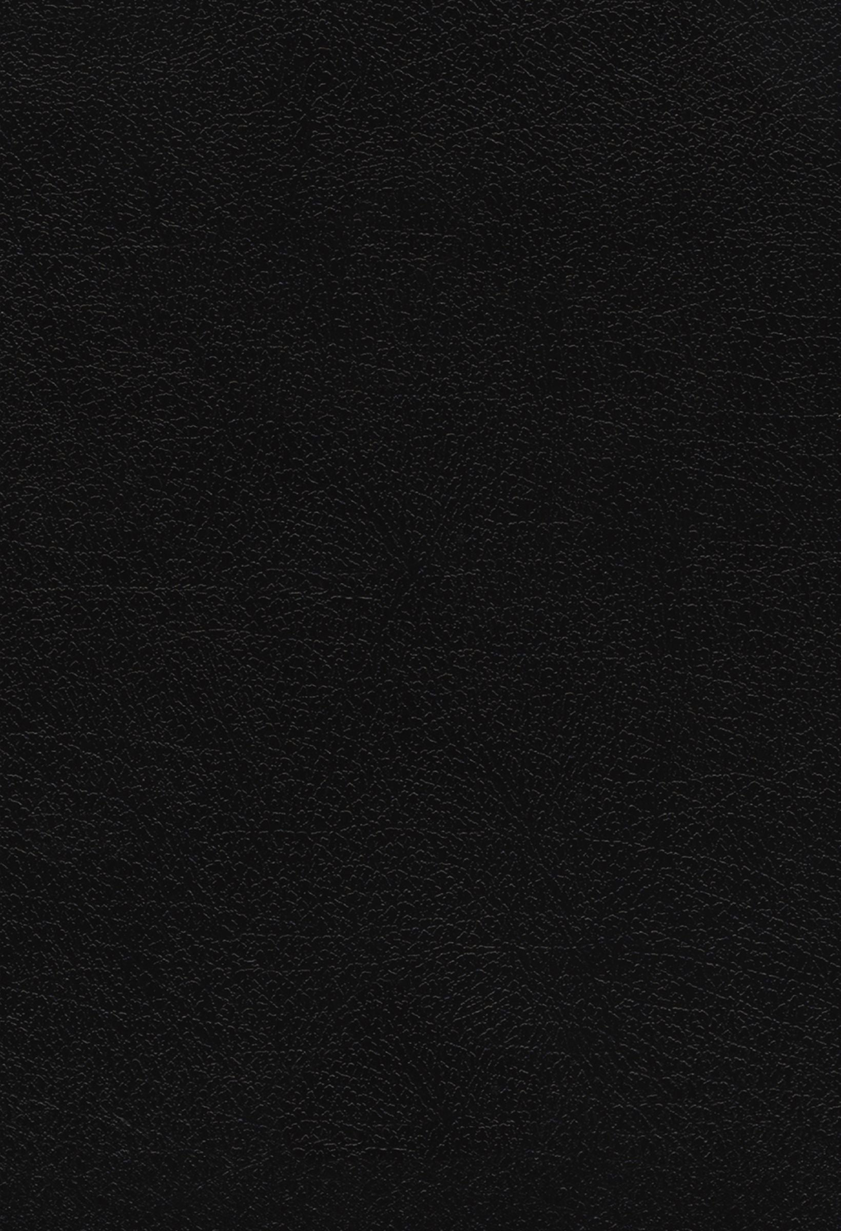 NIV Quest Study Bible, Large Print, Black Letter Edition Bible Study Resource