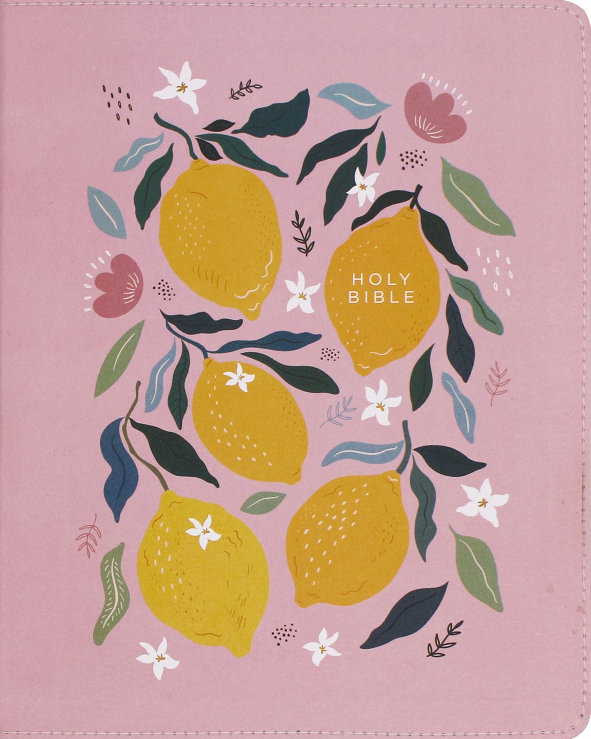 NIV Journal the Word Bible, Pink (Red Letter Edition)