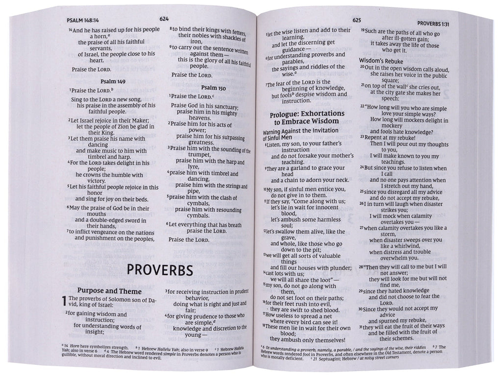 Front cover of NIV Jesus Everywhere Outreach Bible, featuring larger print text.
