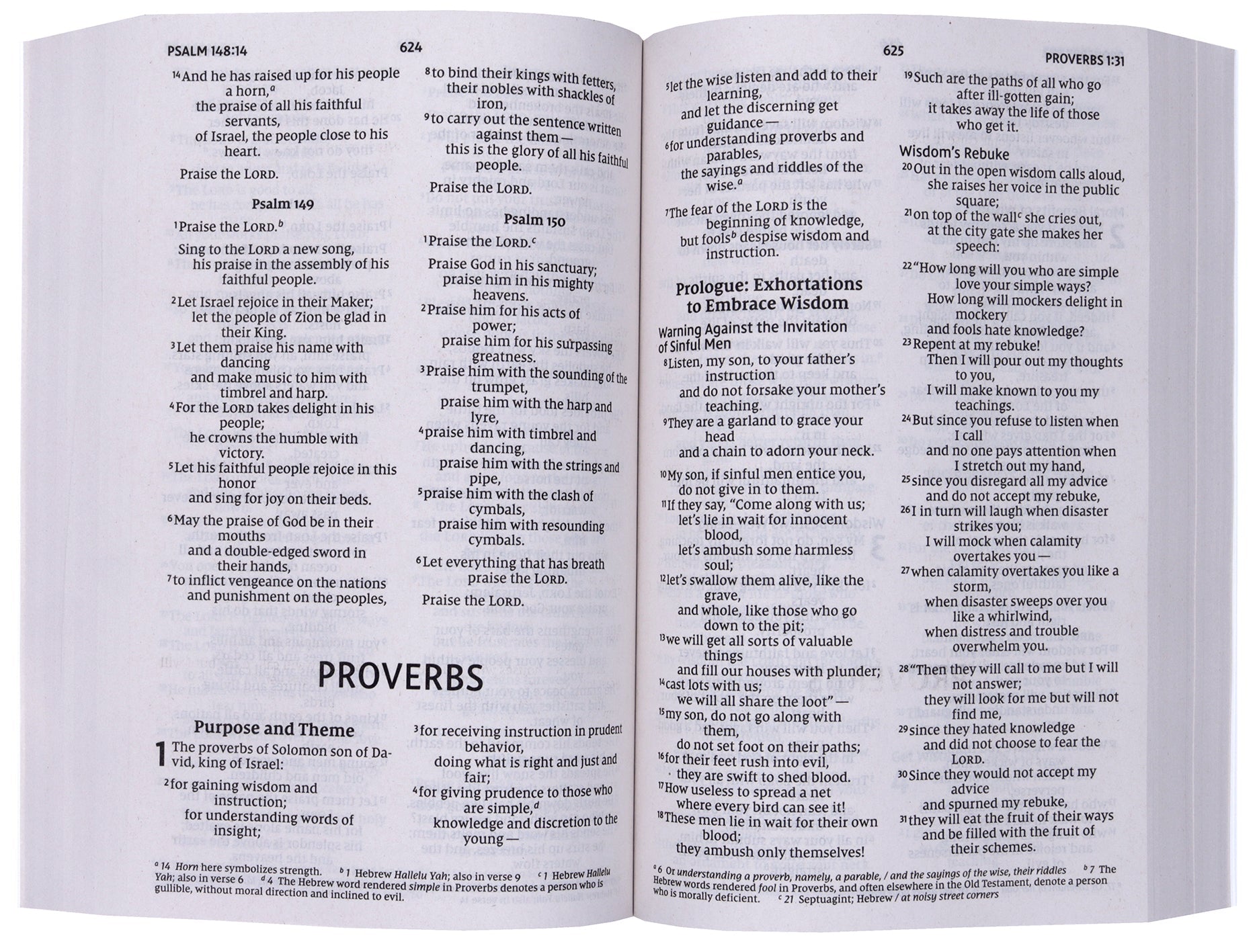 Front cover of NIV Jesus Everywhere Outreach Bible, featuring larger print text.