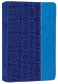 NIV Adventure Bible Electric Blue Ocean Blue (Black Letter Edition) Bible