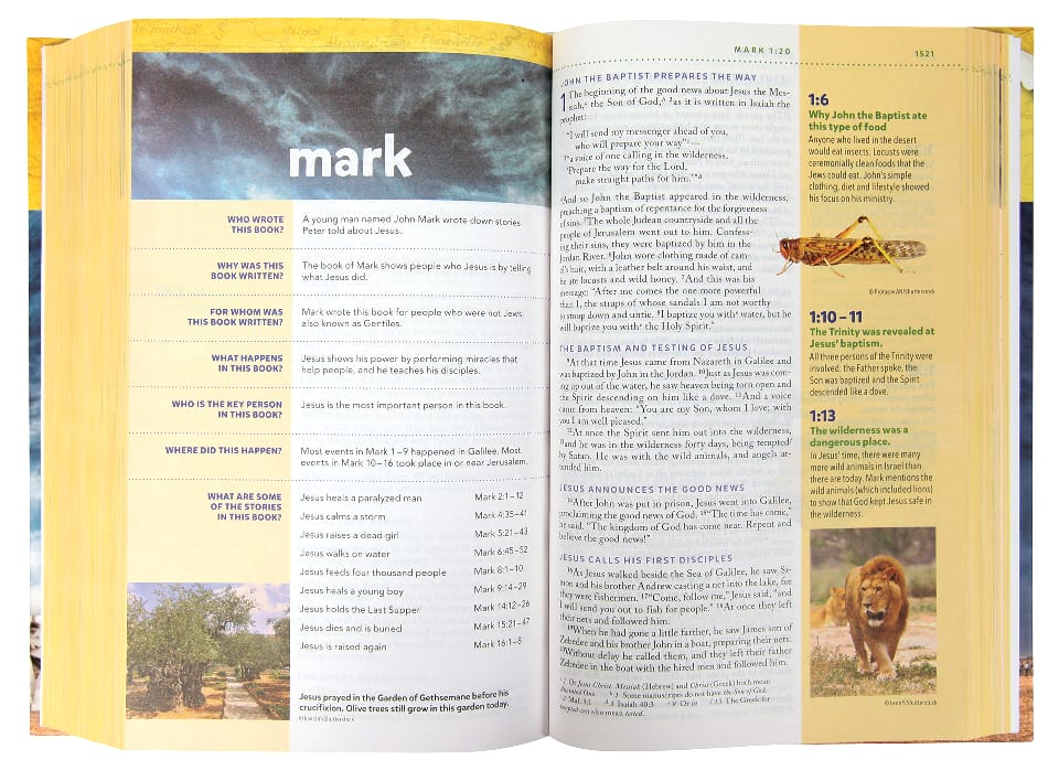 NIV Kids' Visual Study Bible interior features vibrant, full color illustrations and text.