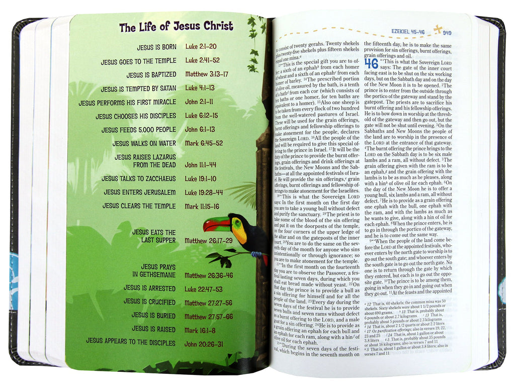 NIV Adventure Bible in a Gray (Black Letter) edition.