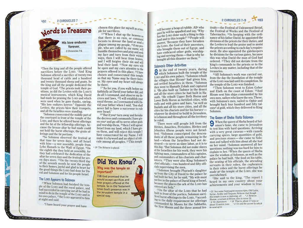NIV Adventure Bible Gray (Black Letter Edition)