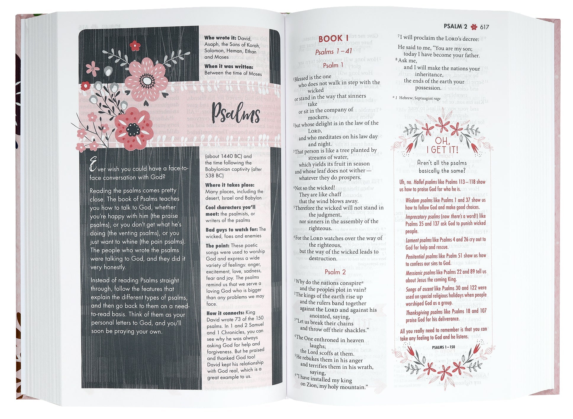 Faithgirlz! Series NIV Bible, a Bible for young girls with inspirational messages