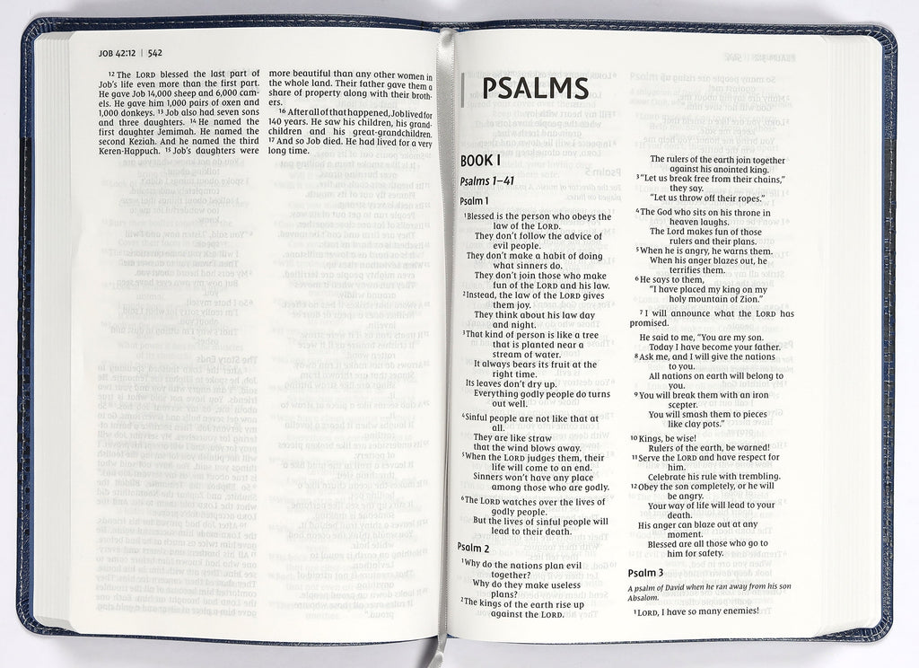 Large Print Blue NIRV Kids Bible, a great kids' study Bible