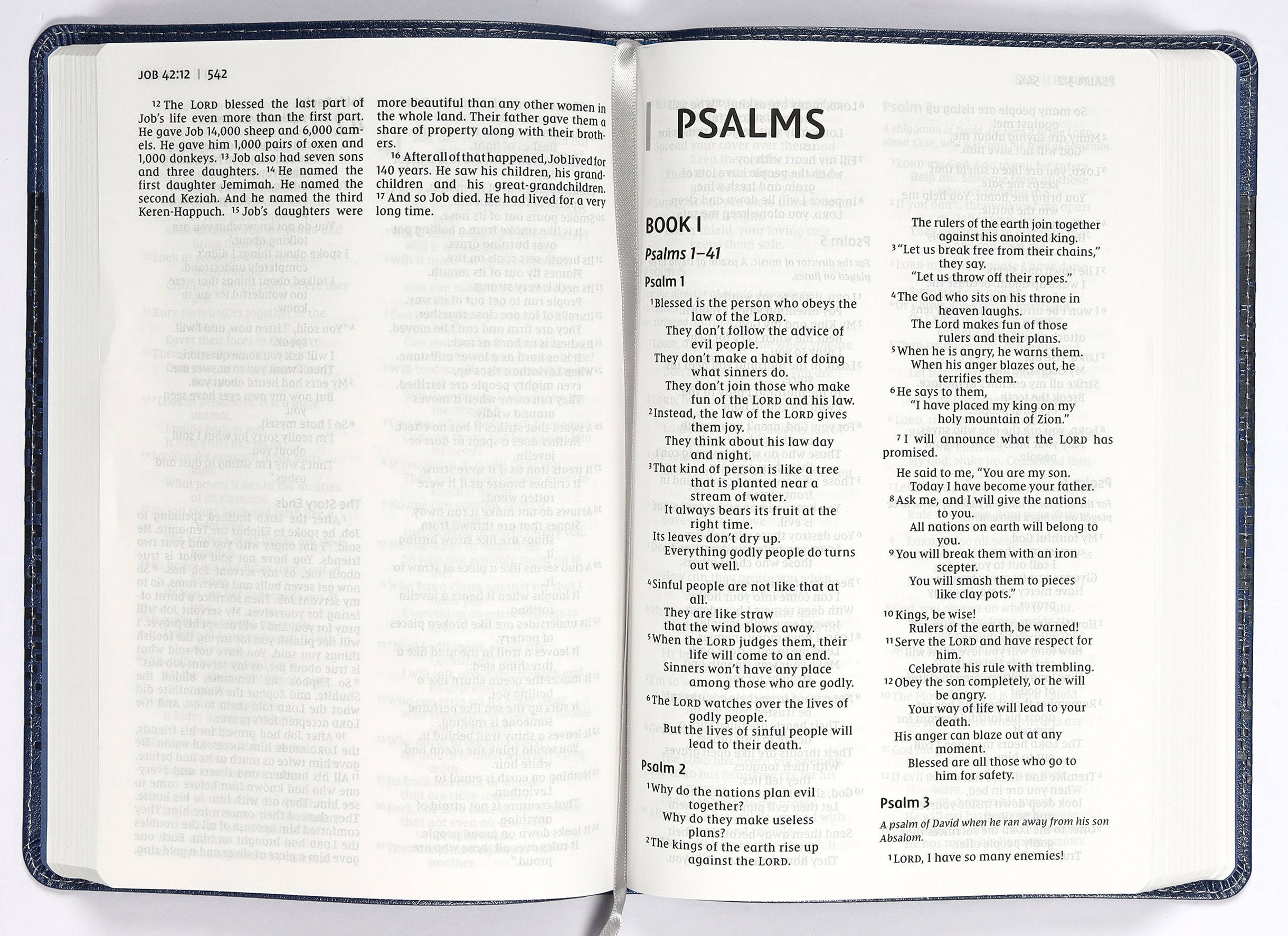 Large Print Blue NIRV Kids Bible, a great kids' study Bible