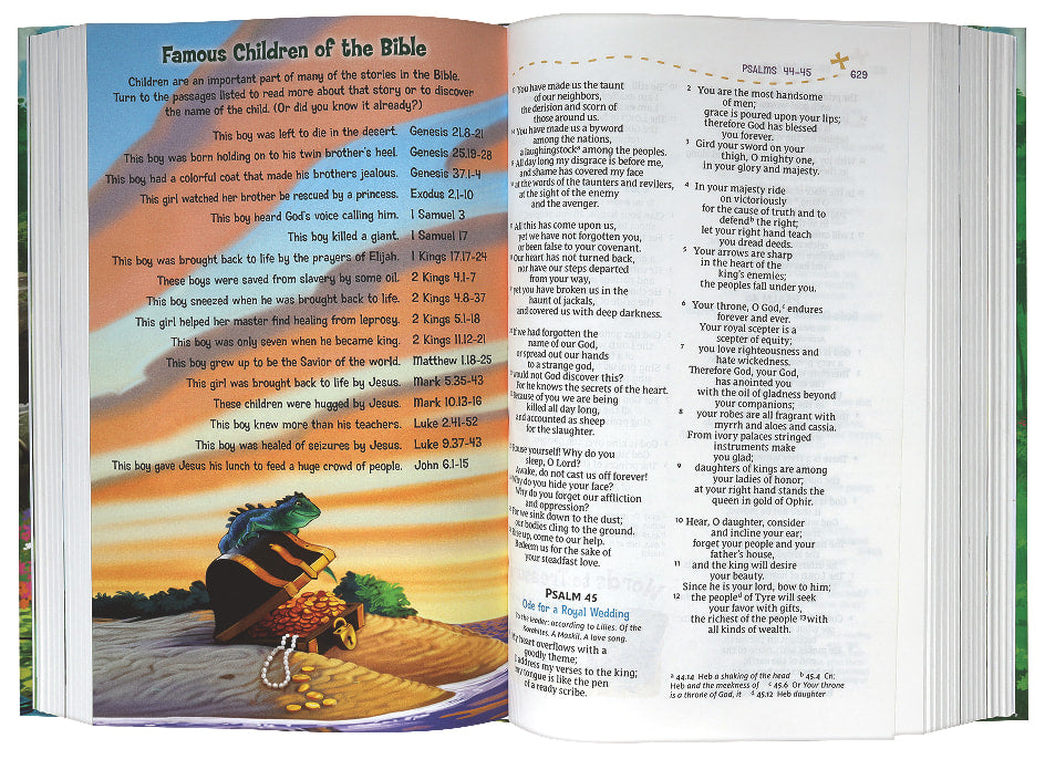 The NRSV Adventure Bible for Kids and Teens, a comprehensive Bible study guide.