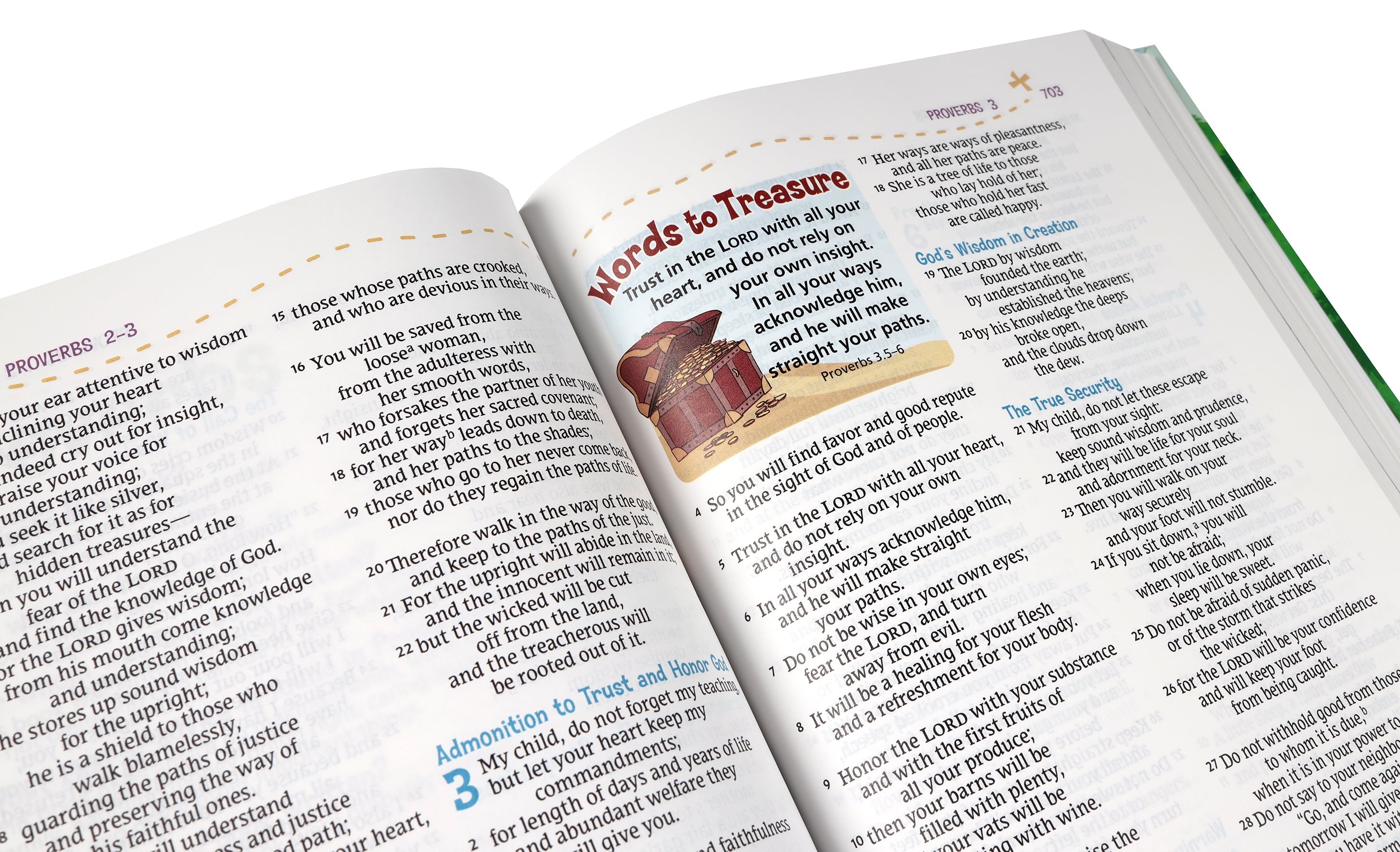 The NRSV Adventure Bible, a trusted Bible study resource for young learners and adults.