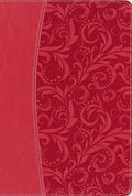 NIV Quest Study Bible: