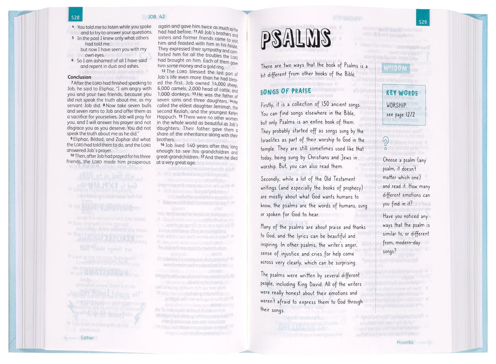 GNB Good News Bible Children's Rainbow Edition