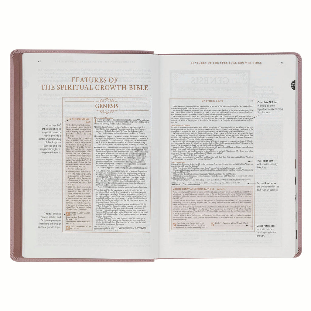 NLT The Spiritual Growth Bible, Dusty Mauve