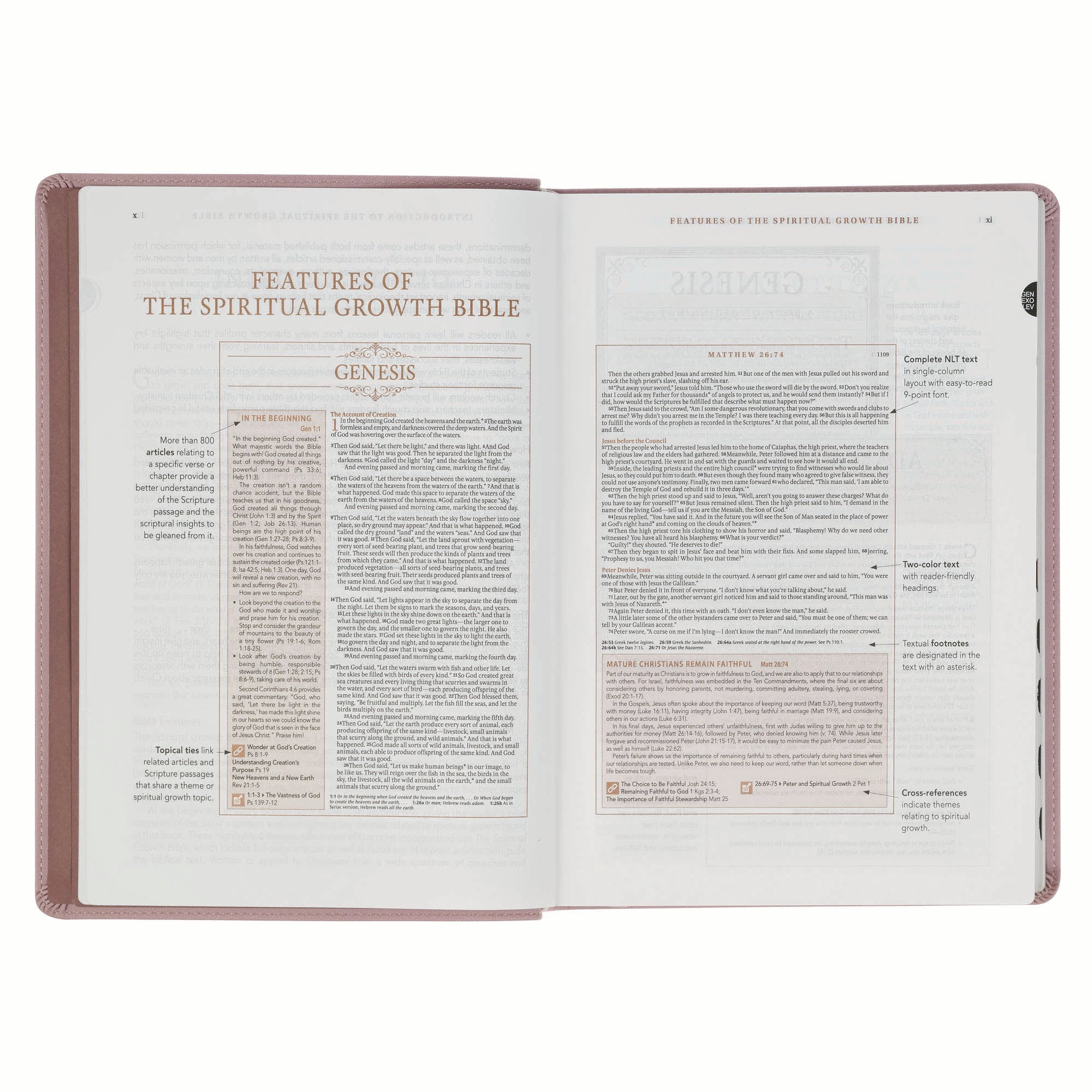 NLT The Spiritual Growth Bible, Dusty Mauve